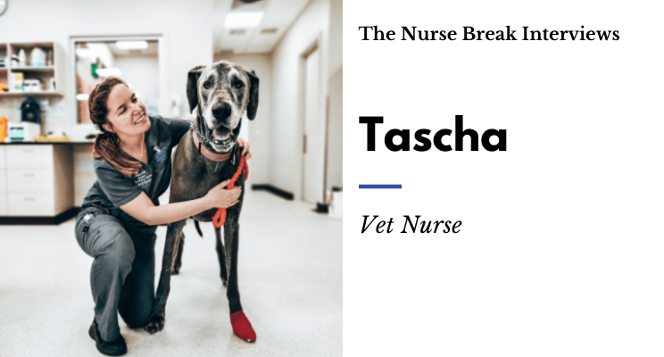 The vet nurse perspective - what veterinary nursing is really like » The  Nurse Break
