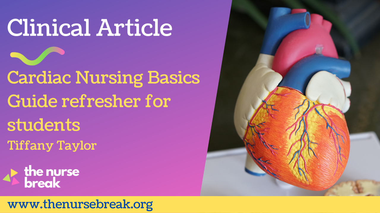 Amazing Cardiac Nursing Basics Guide for students
